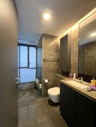 Skysuites@Anson (D2), Apartment #468104821
